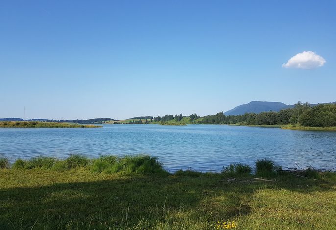 Bild 16