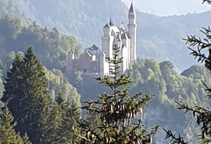 Bild 12