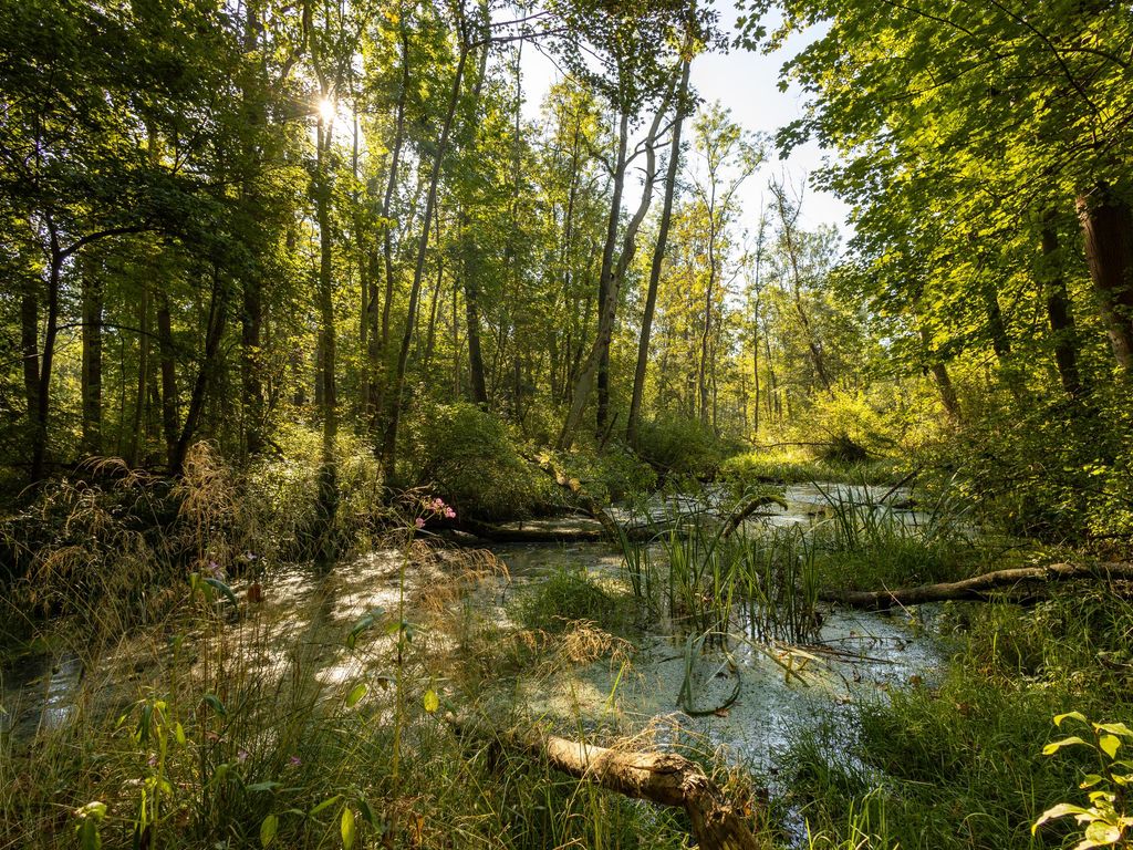 Natur erleben