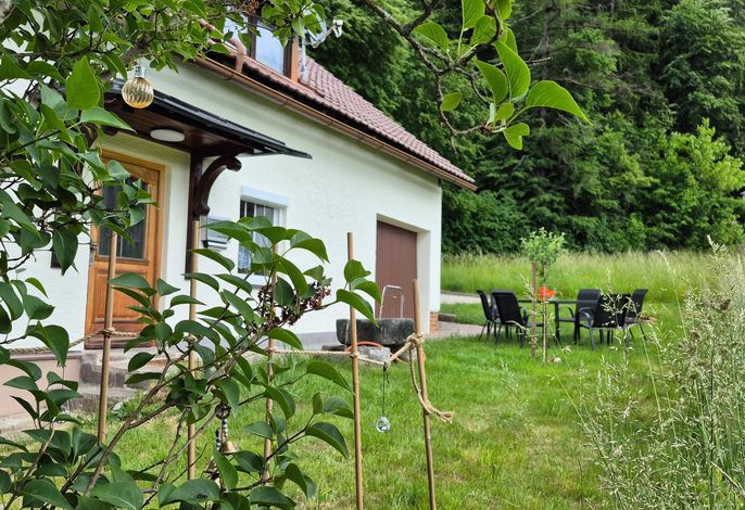 Bild 8