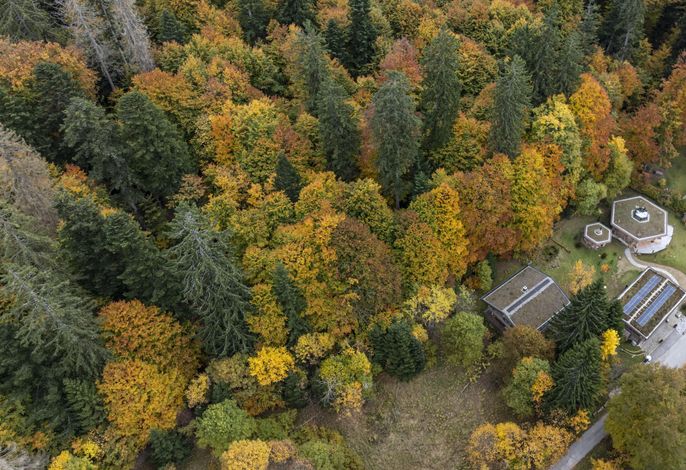 WaldhausLodge