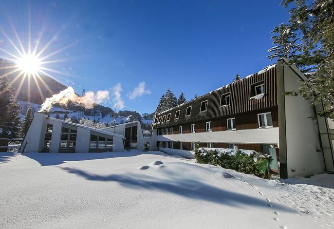 Bild 15