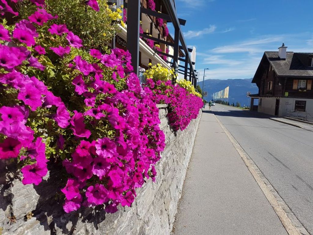 Vorab Sommer
