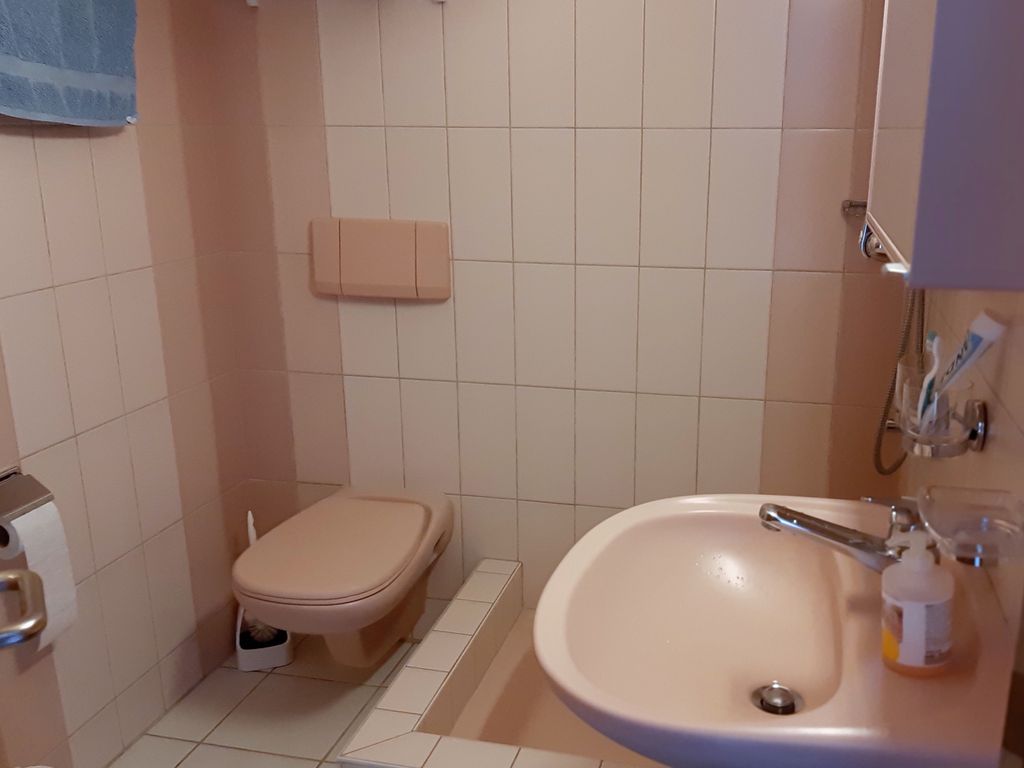 Douche / WC / Lavabo