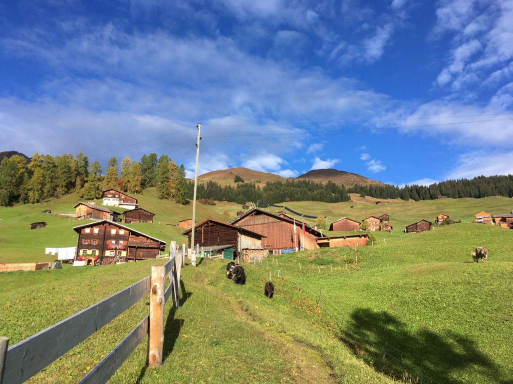 Ferienwohnung Hof Unterhus - Ansicht Sommer