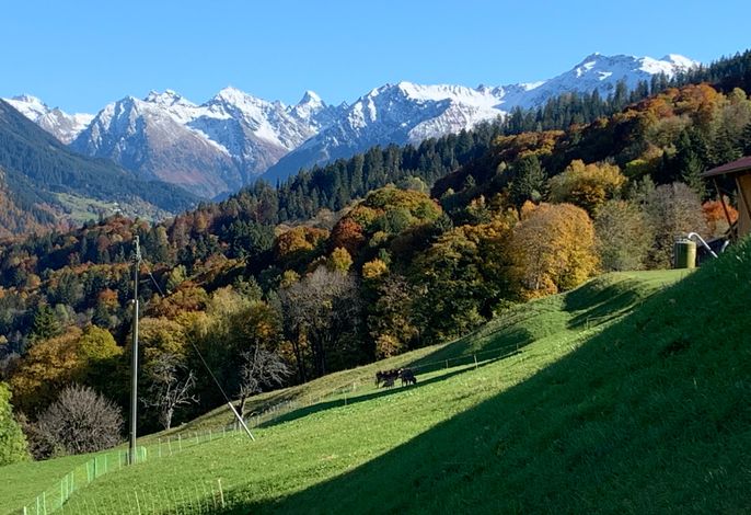 Bild 11