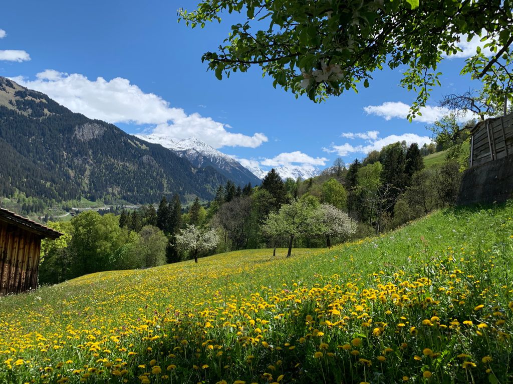 Casa Grischina - Bergparadies
