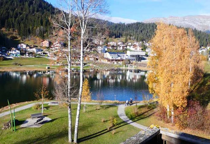 Baumann Laax Riva