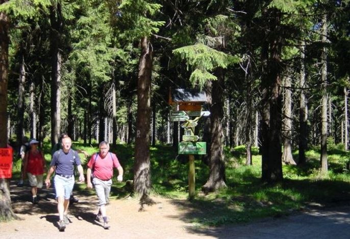 Bild 14