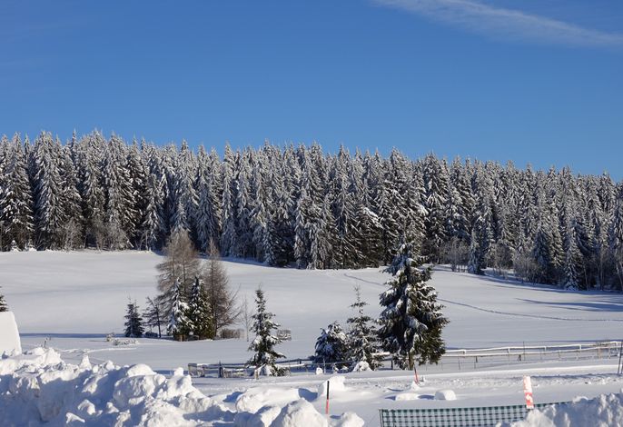 Bild 15