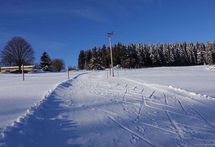 Bild 18