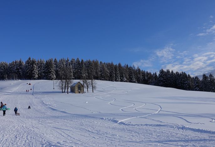 Bild 19