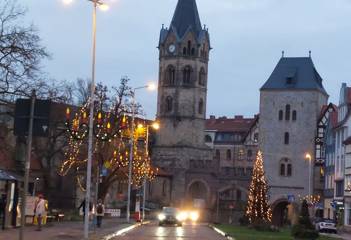 Bild 7