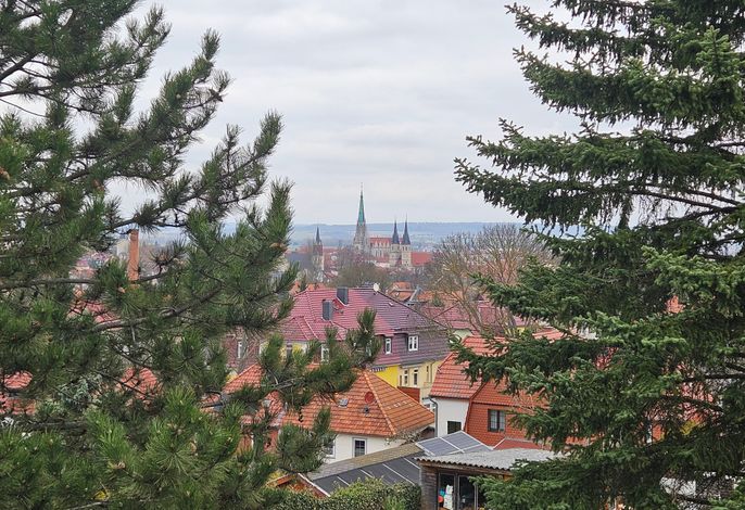 Bild 13