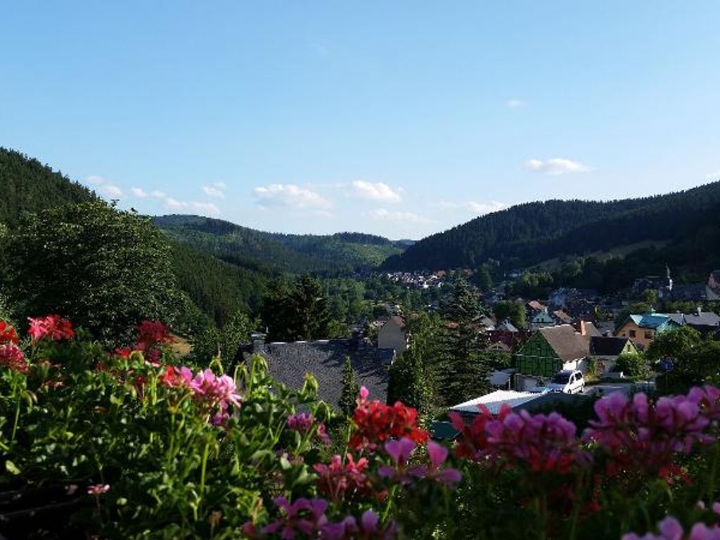 Ausblick vom Ferienhaus