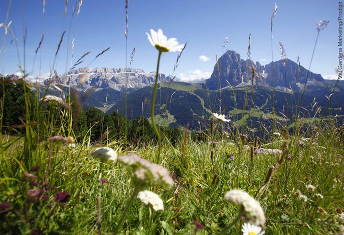 Bild 33