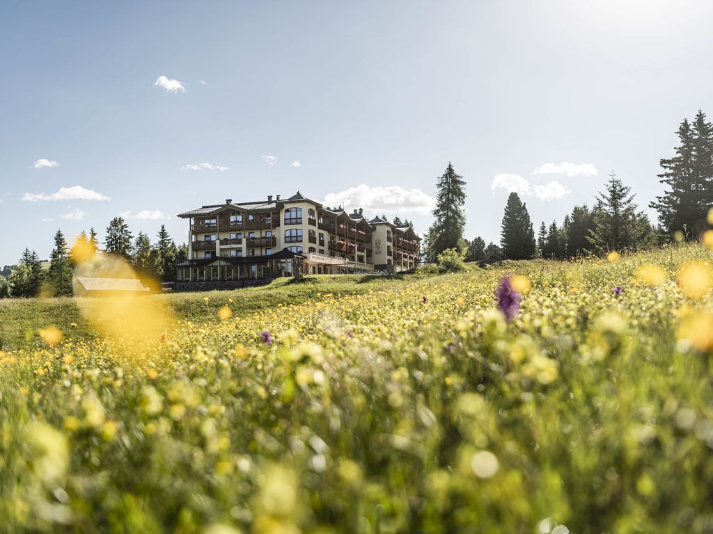 Hotel Steger Dellai