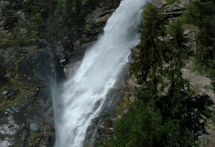Bild 40