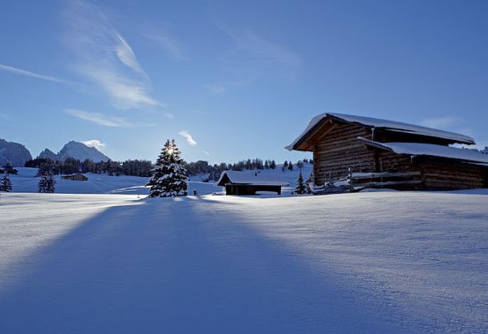 Bild 22