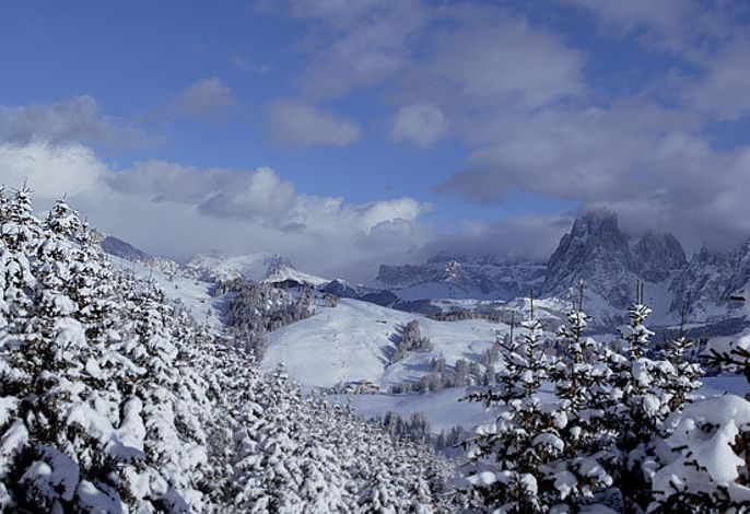 Bild 29