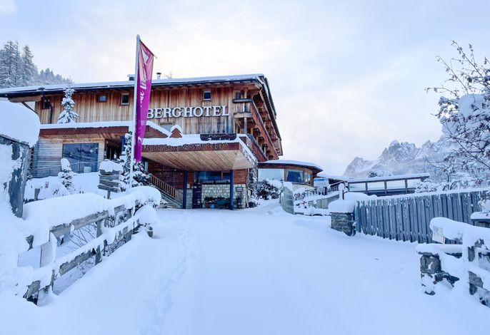 Bild 12