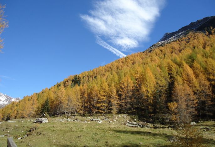 Bild 49