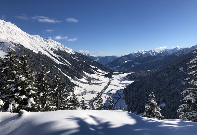 Bild 65