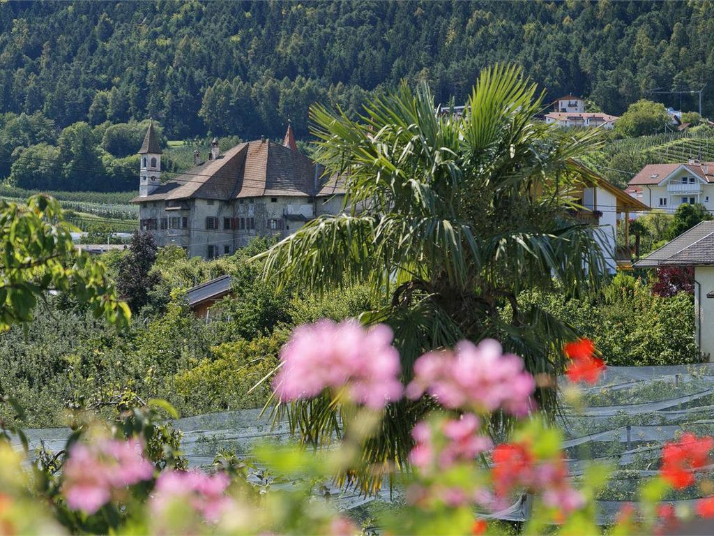 Balkon Felsenegg