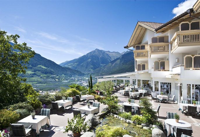 Bild 19