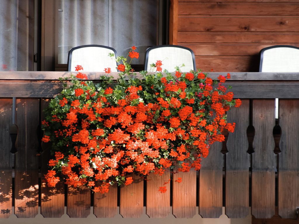 Hotel Adler Carezza