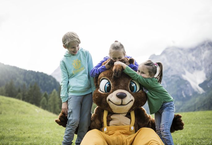 Bild 12