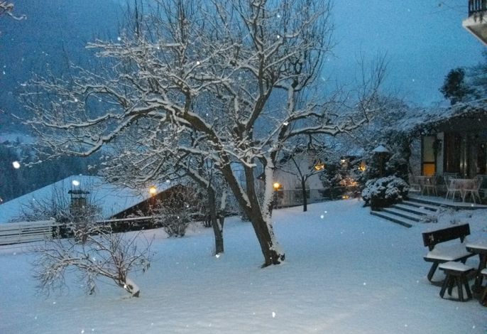 Bild 14