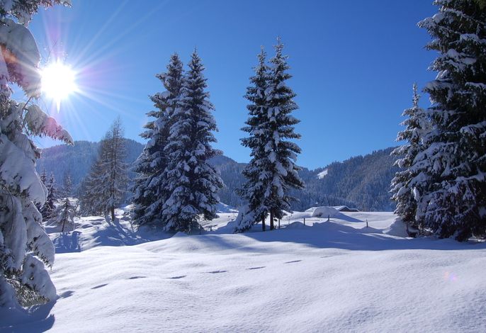 Bild 13