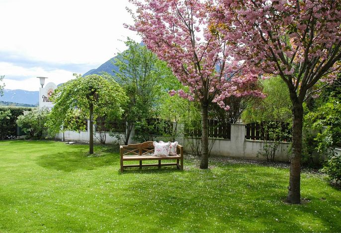 Bild 11