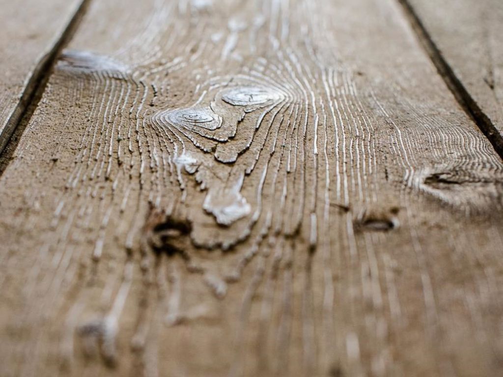 Holz