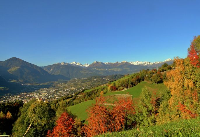 Bild 14