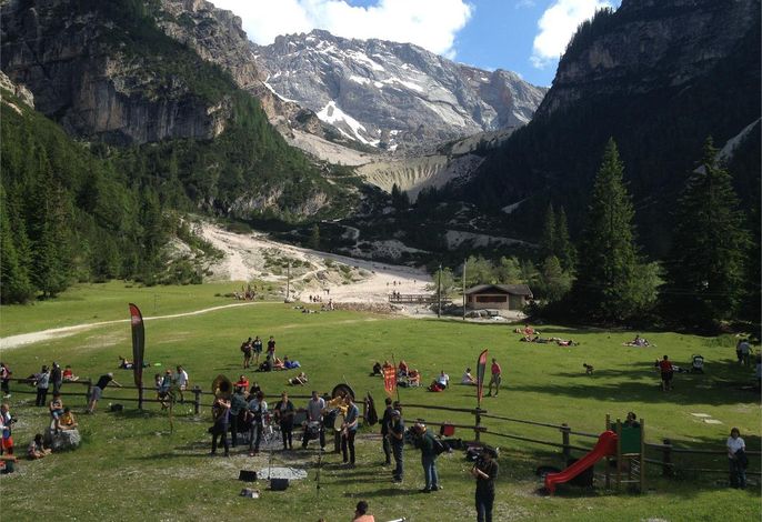 Bild 15