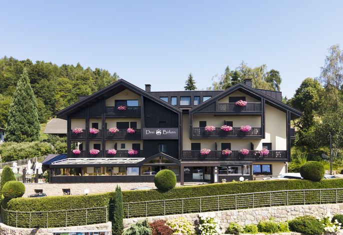 Hotel Drei Birken