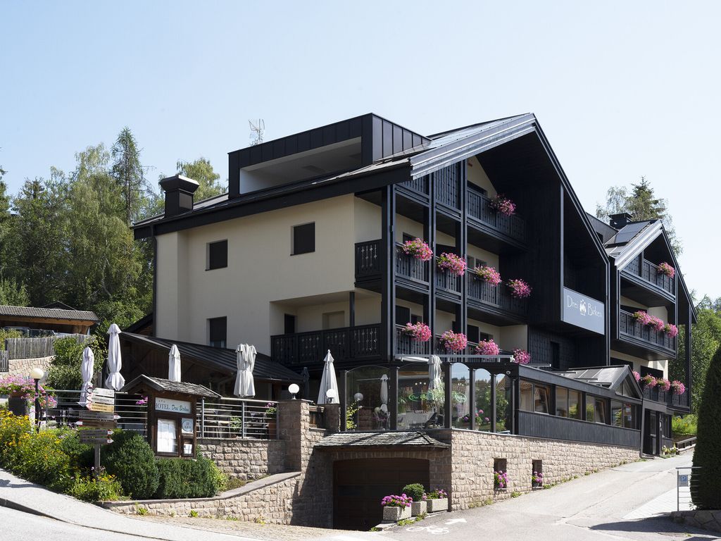 Hotel Drei Birken