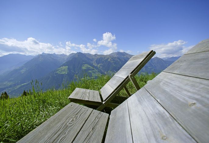 Bild 19