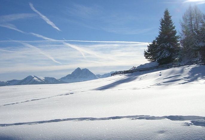 Bild 44