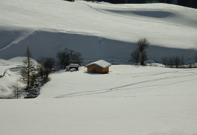 Bild 49
