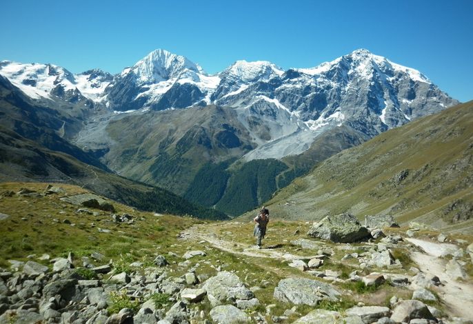 Bild 44