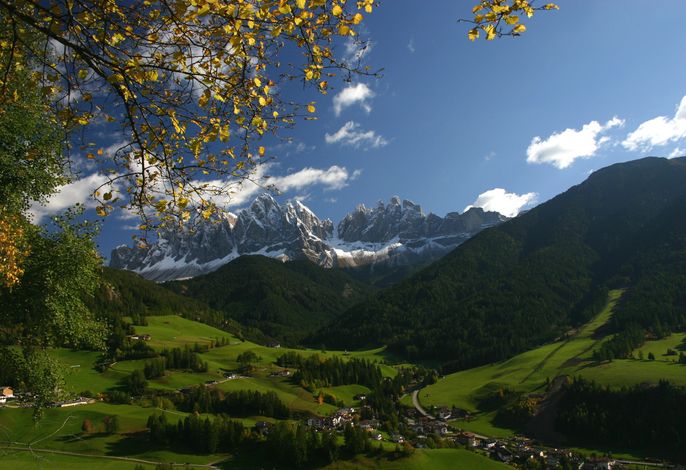 Bild 7