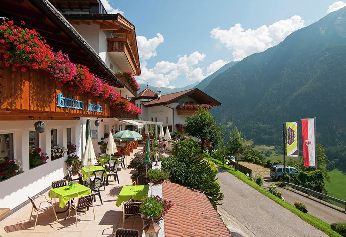 Bild 15