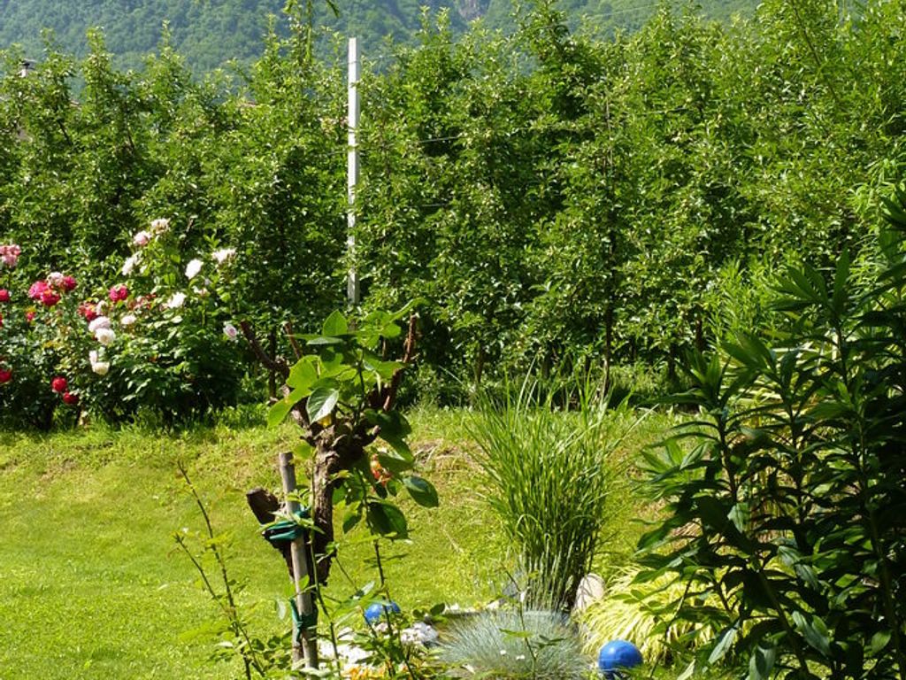 Garni Rebhof