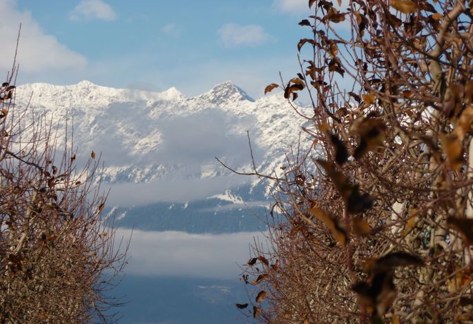 Bild 18