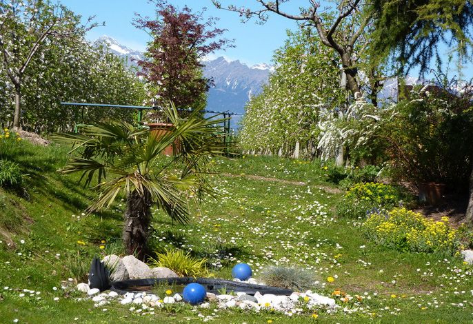 Bild 14