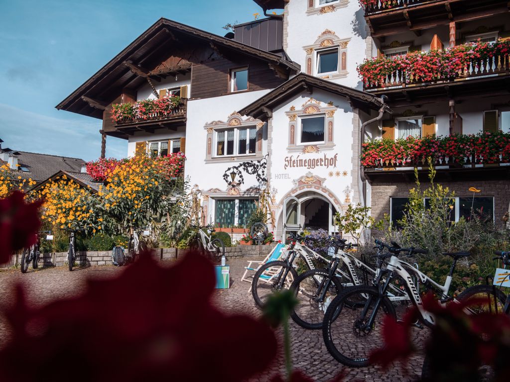 Hotel Steineggerhof