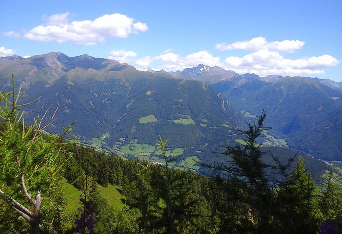 Bild 15